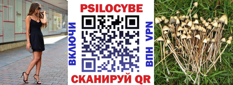 Псилоцибиновые грибы MAGIC MUSHROOMS  Купить закладки  Электросталь 