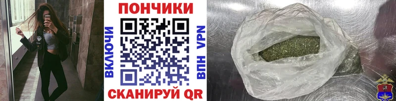 Купить где  Электросталь  Бошки марихуана SATIVA & INDICA 